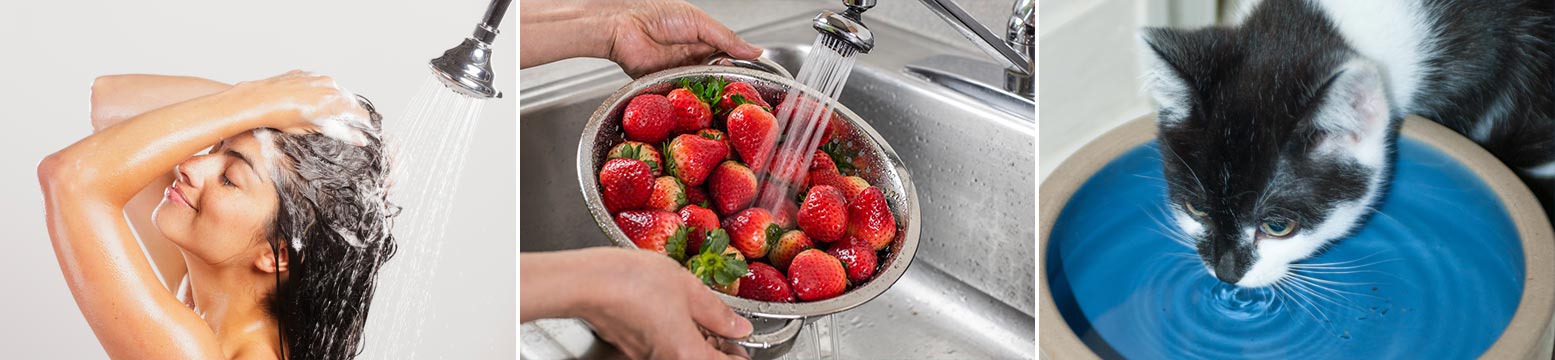 Uses for Water Filtration