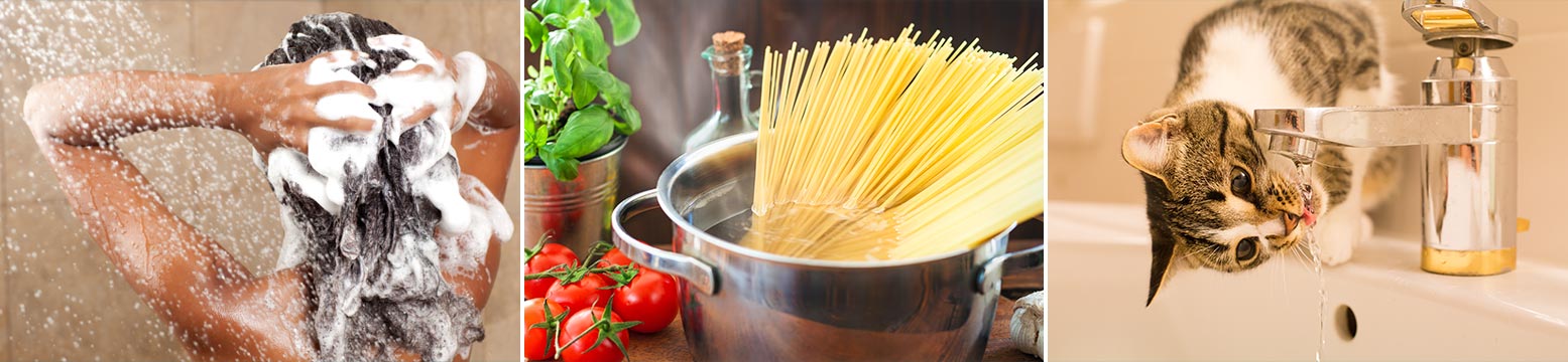 Uses for Water Filtration