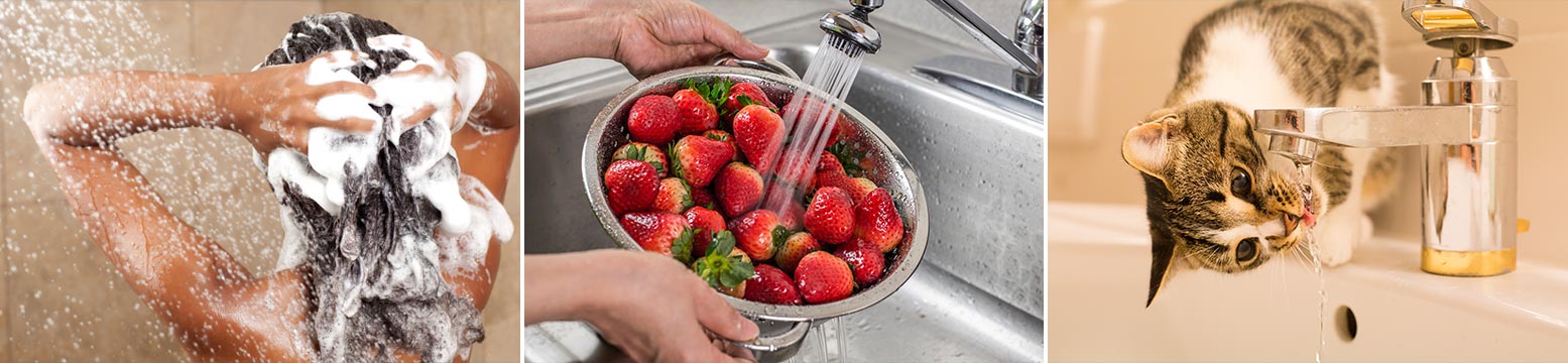 Uses for Water Filtration