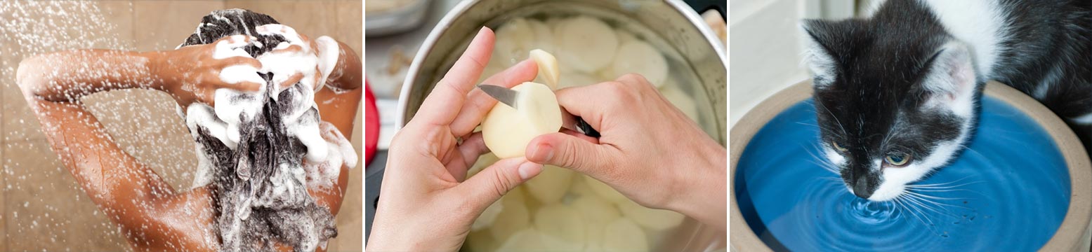 Uses for Water Filtration