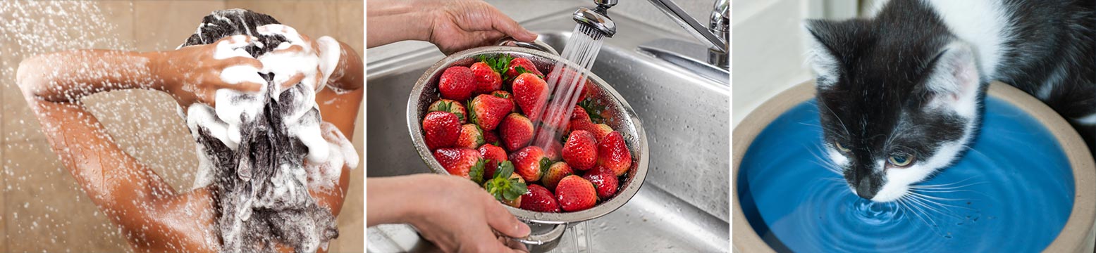 Uses for Water Filtration