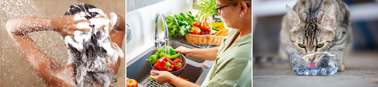 Uses for Water Filtration