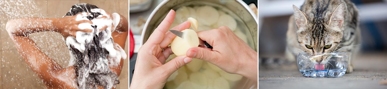 Uses for Water Filtration