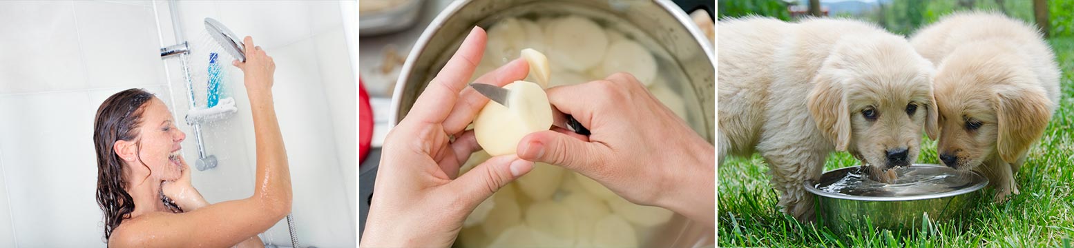 Uses for Water Filtration