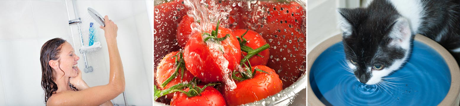 Uses for Water Filtration