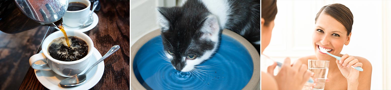 Uses for Water Filtration