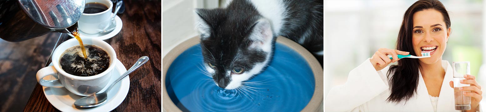 Uses for Water Filtration