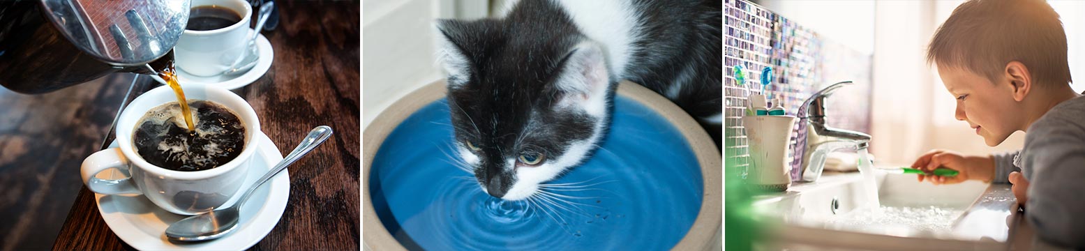 Uses for Water Filtration