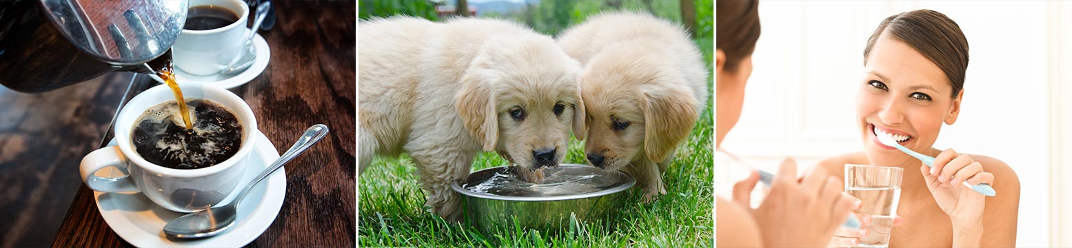 Uses for Water Filtration