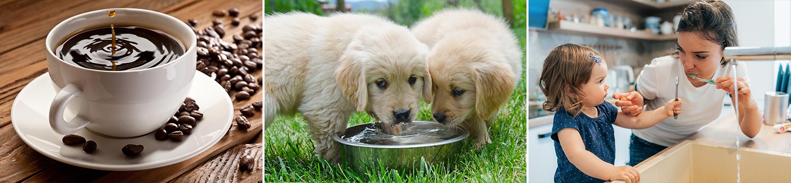 Uses for Water Filtration