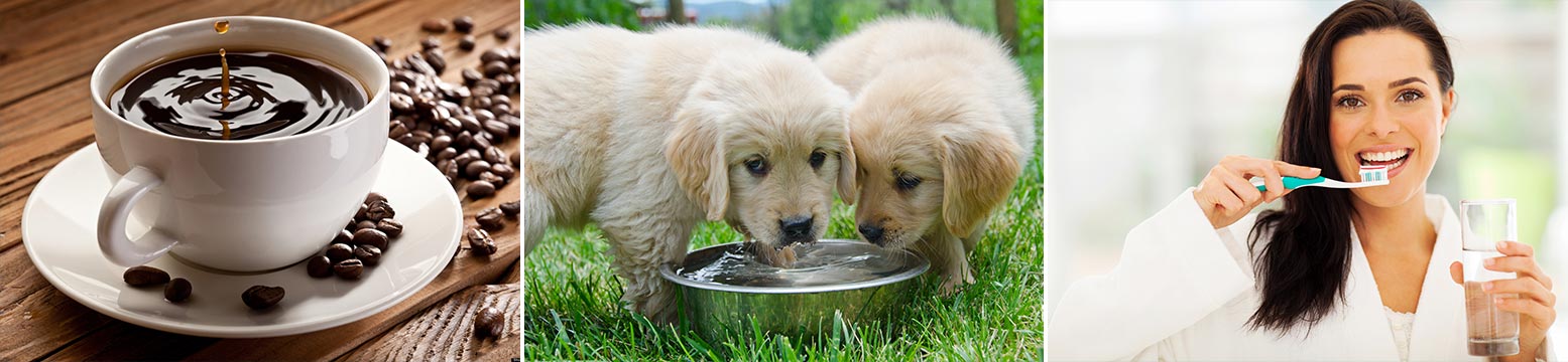 Uses for Water Filtration