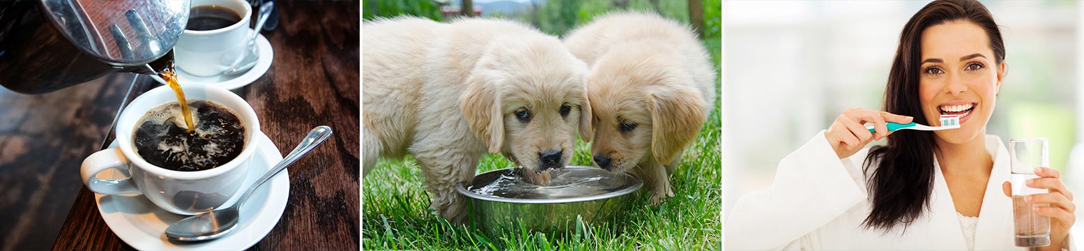 Uses for Water Filtration