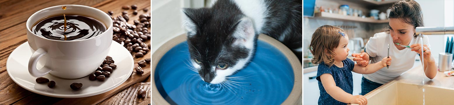 Uses for Water Filtration
