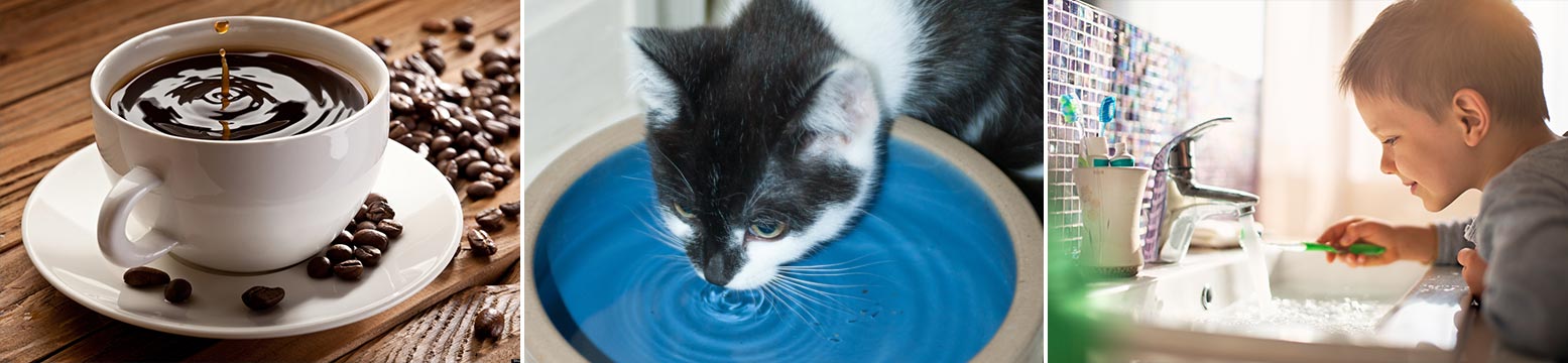 Uses for Water Filtration