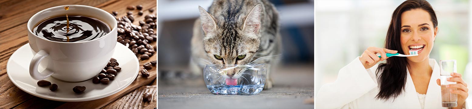 Uses for Water Filtration