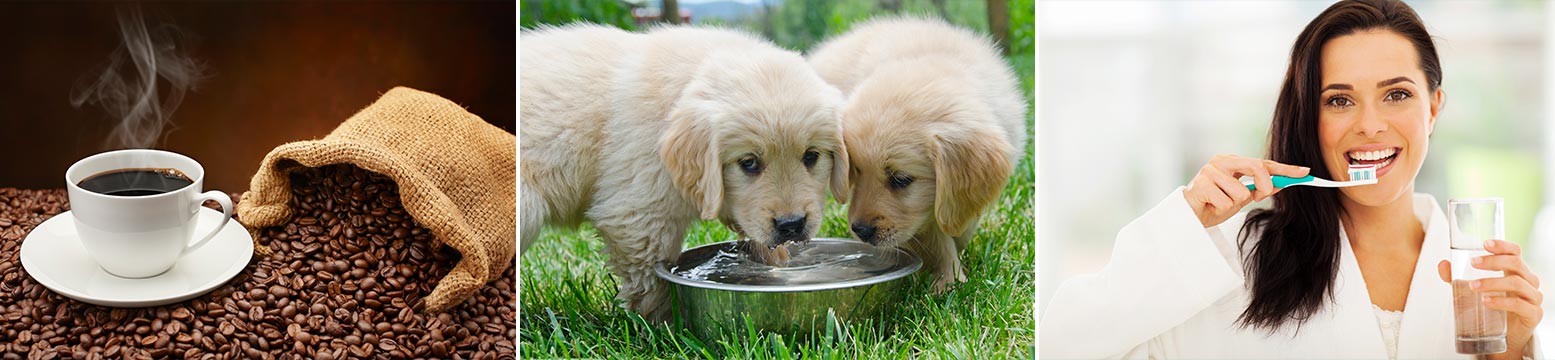Uses for Water Filtration