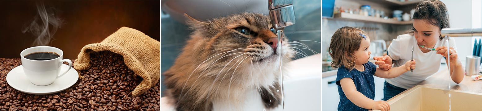 Uses for Water Filtration