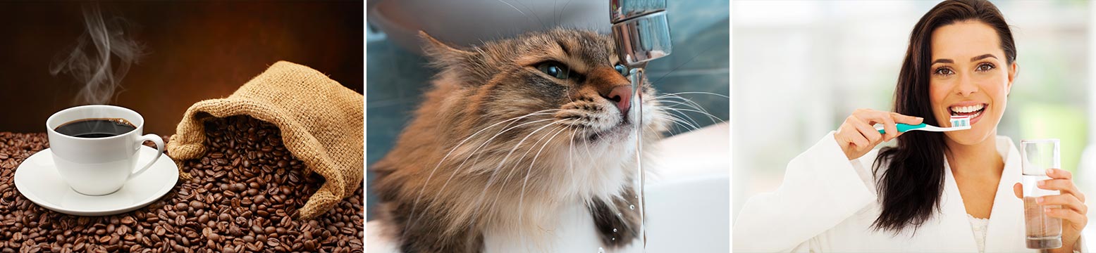 Uses for Water Filtration