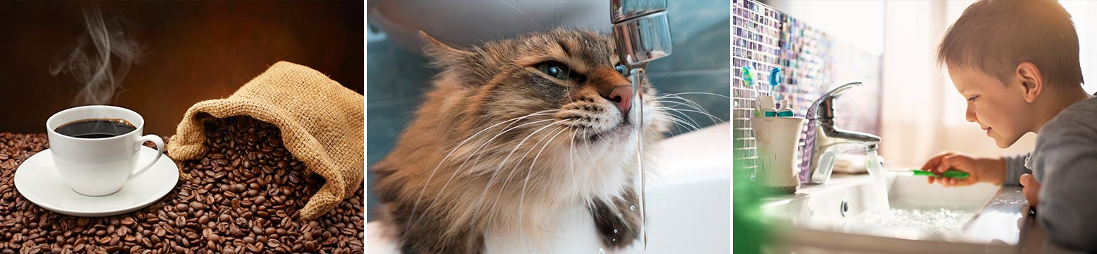 Uses for Water Filtration