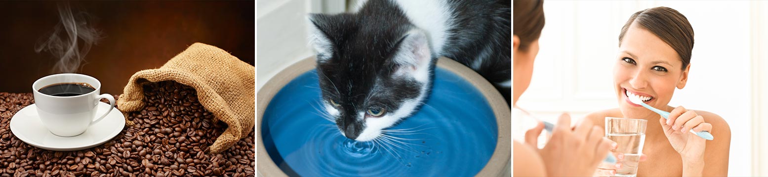 Uses for Water Filtration