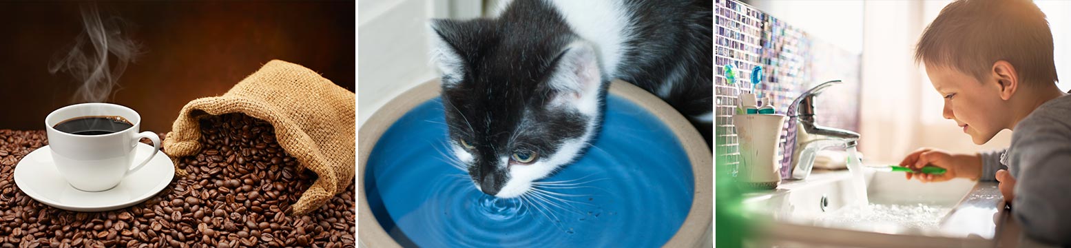 Uses for Water Filtration