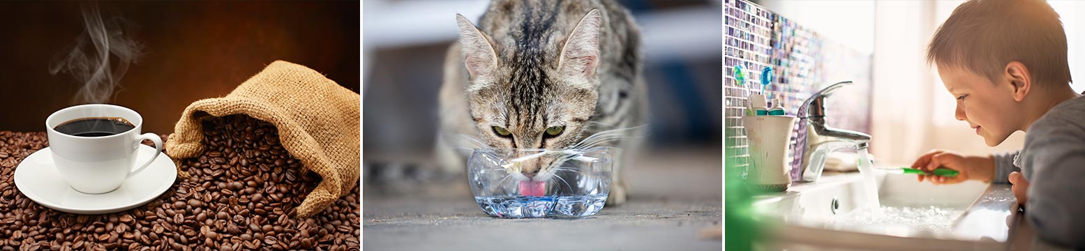 Uses for Water Filtration