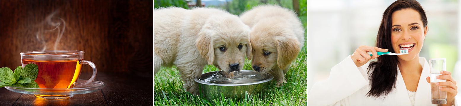 Uses for Water Filtration