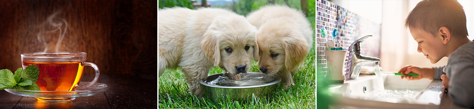 Uses for Water Filtration