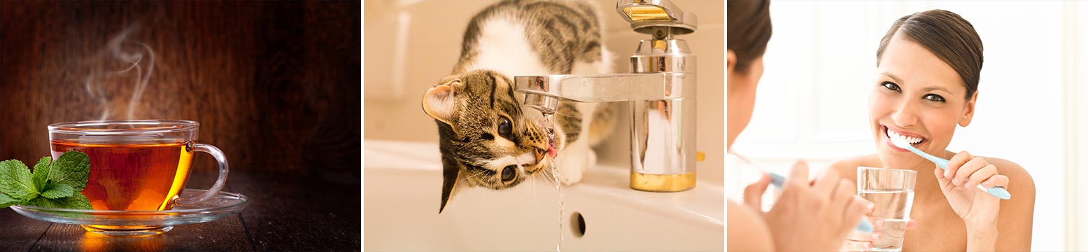 Uses for Water Filtration