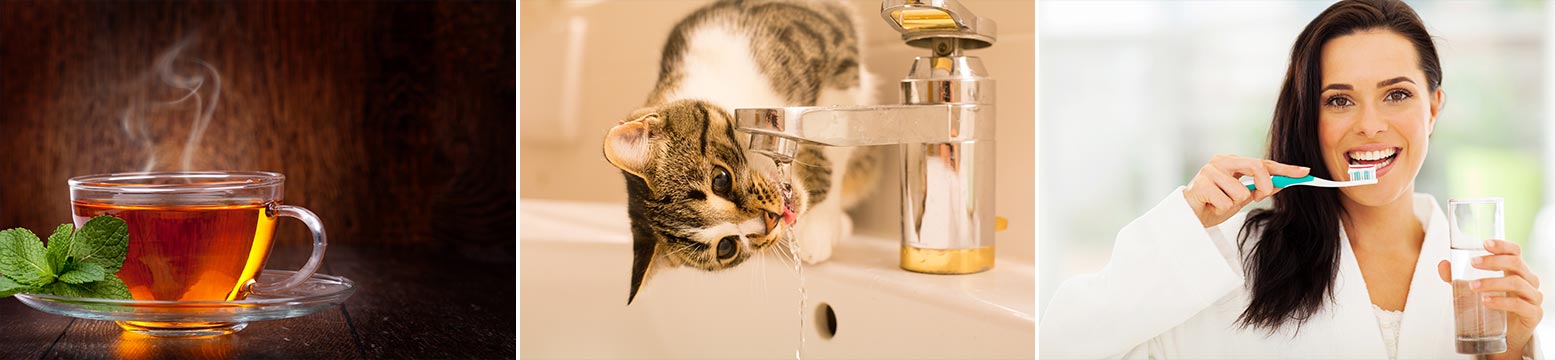 Uses for Water Filtration