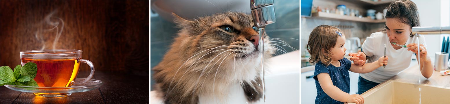 Uses for Water Filtration
