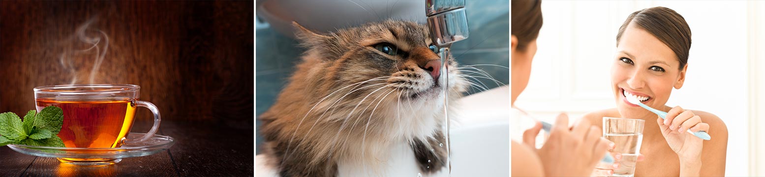 Uses for Water Filtration