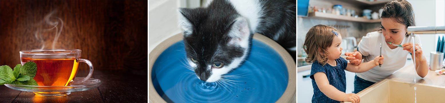 Uses for Water Filtration