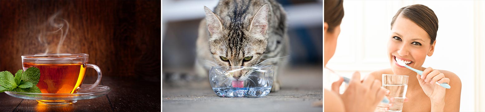 Uses for Water Filtration