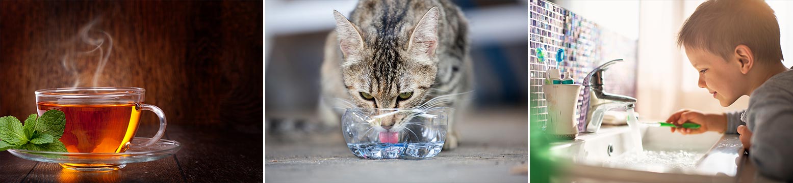 Uses for Water Filtration