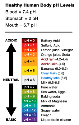 pH Scale Chart