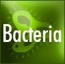 Ultraviolet Purification