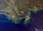 Eutrophication along a coastline