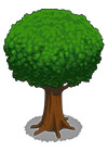 Botany