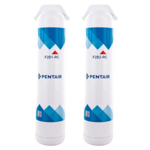 Pentek F2B2-RC2 Replacement Cartridges, Twin Pack - VOC, 6/C