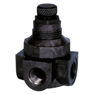 Watts Pressure Reducing Valve - 1/4"